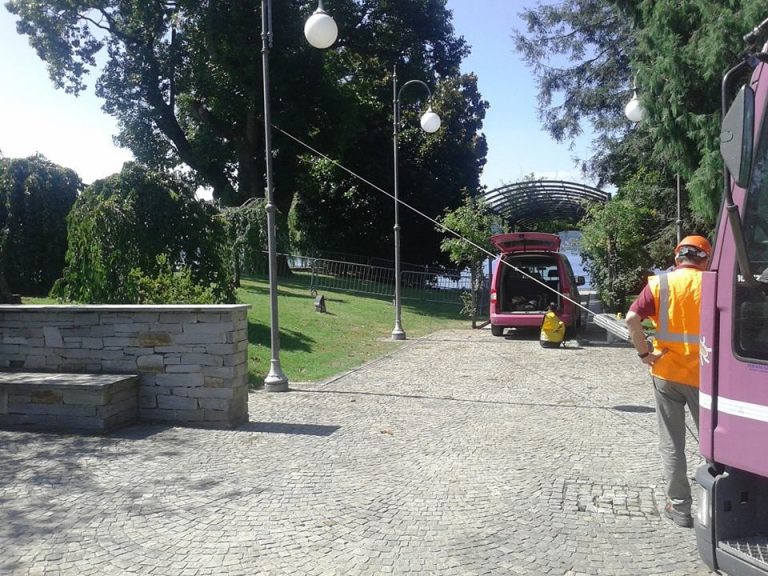 pulling verbania (1)