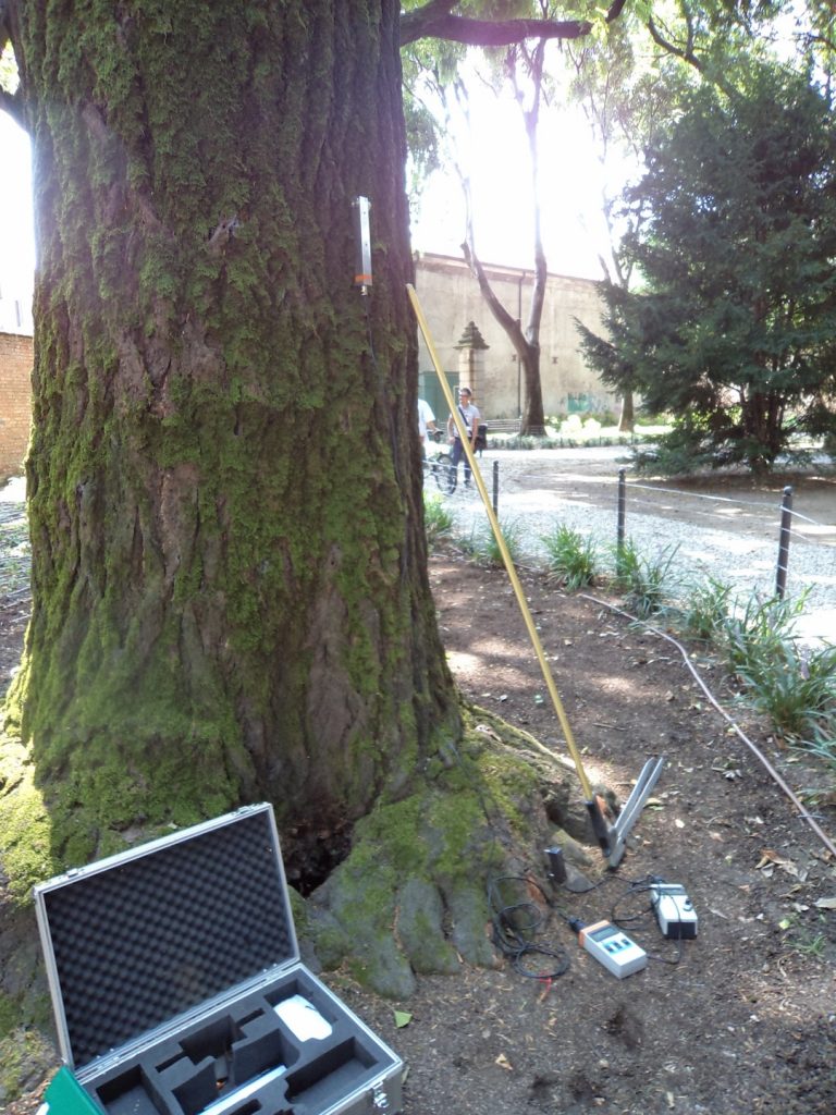 strumenti du ginkgo