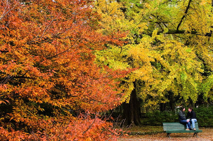 sfondoautunno17