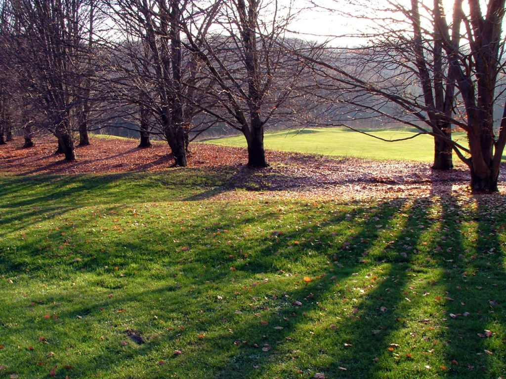 Golf Luvinate 5 dic. 2003 i